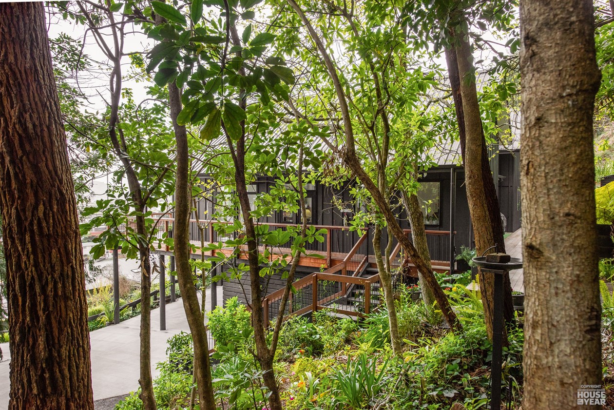 Picton Hillside New Build — Cedar entry stairs with harbour view